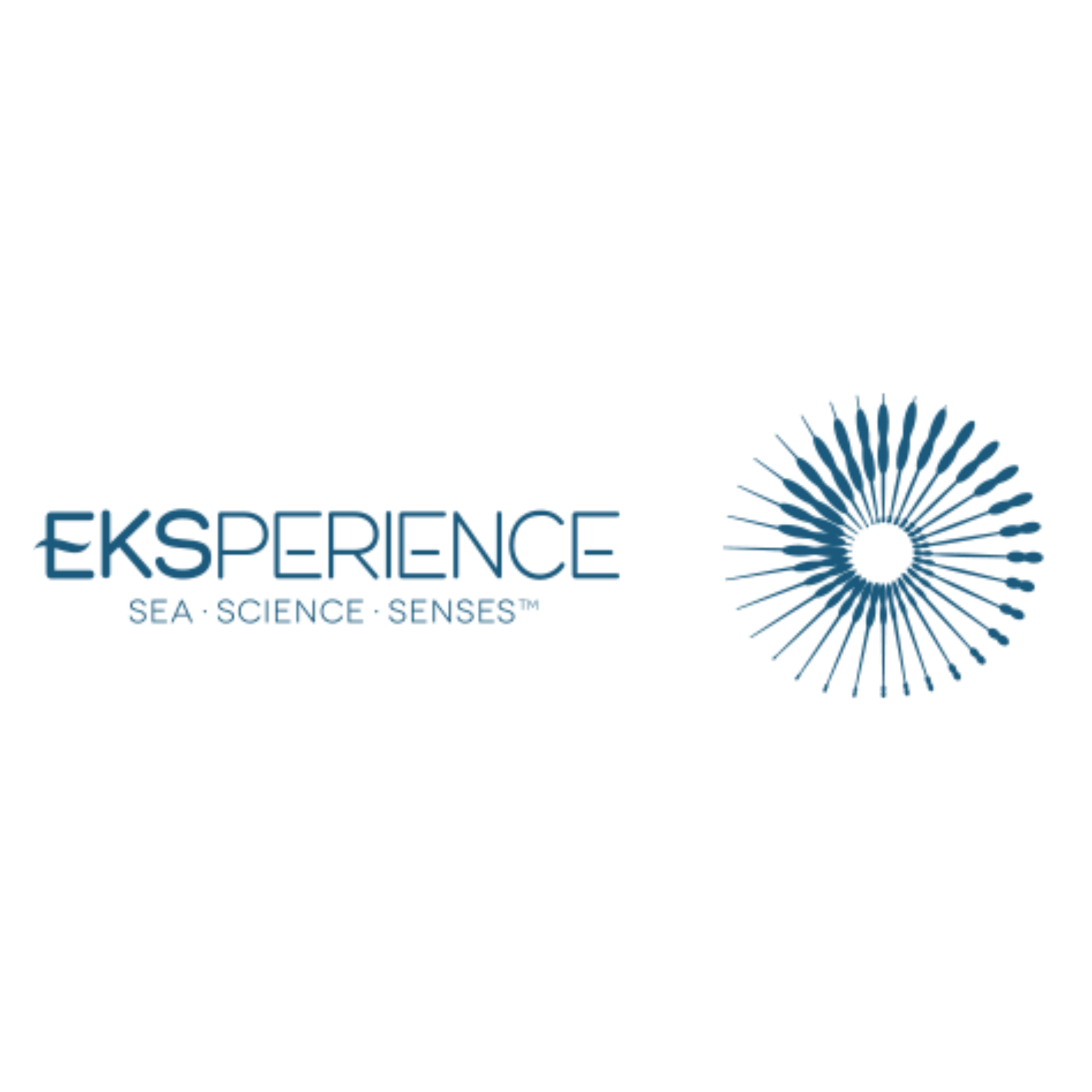 Revlon EKSperience
